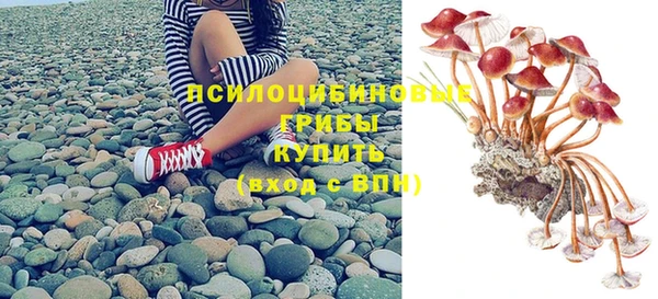 spice Волосово