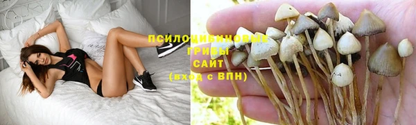 прущая мука Волоколамск
