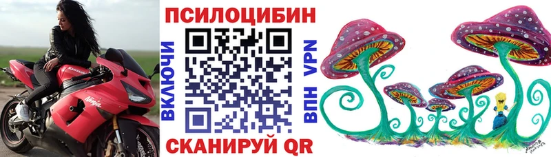 Галлюциногенные грибы Psilocybe  Купить где  Таганрог 
